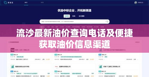 母以子贵 第2页