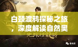 荡然无存 第2页
