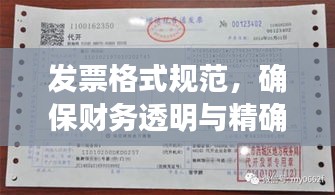 发票格式规范，确保财务透明与精确性的关键要素解析