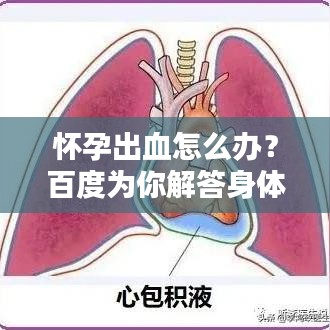 草率从事 第2页