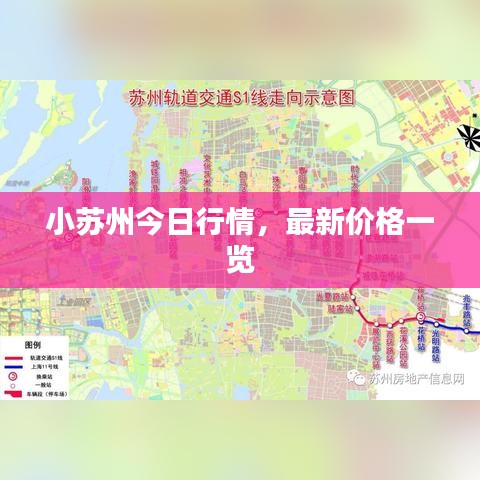 小苏州今日行情，最新价格一览