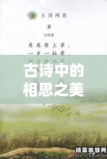 古诗中的相思之美，情深深，意绵绵
