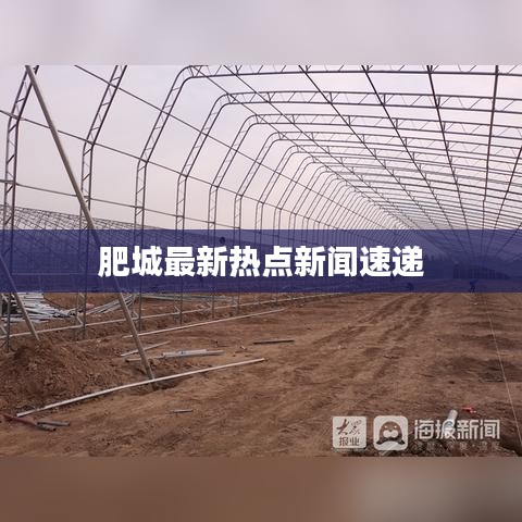 肥城最新热点新闻速递