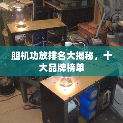鸟栖虫居
