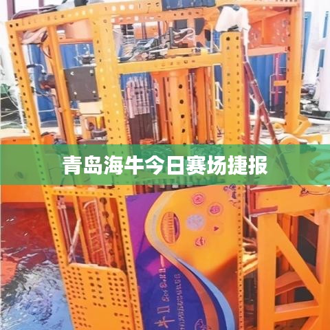 青岛海牛今日赛场捷报