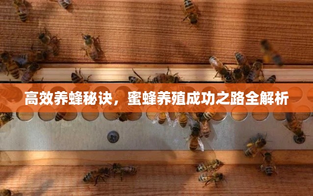 联系我们 第18页