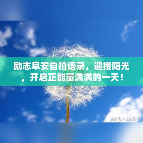 阿胶究竟有哪些功效 第8页