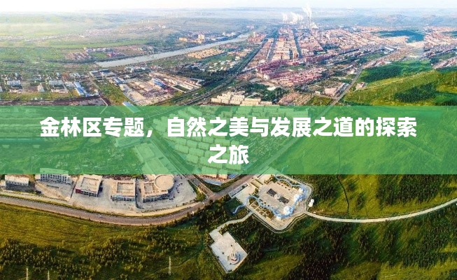 2025年5月19日 第5页