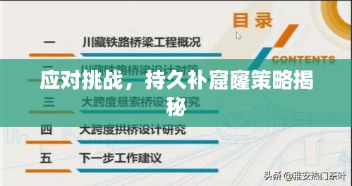 坌鸟先飞