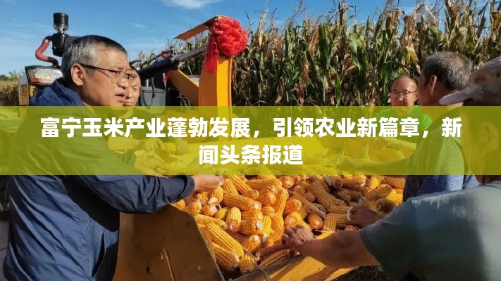 2025年5月 第3页