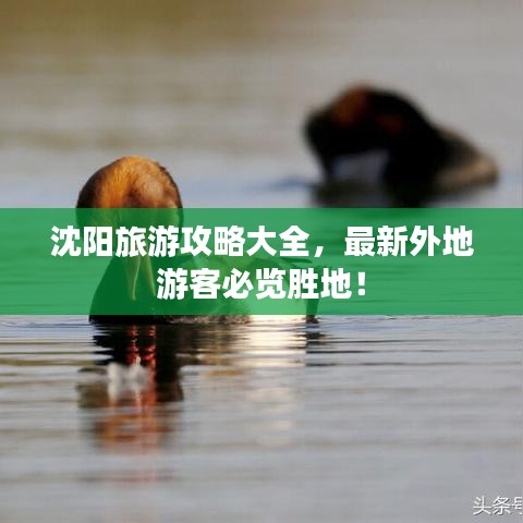 沈阳旅游攻略大全，最新外地游客必览胜地！