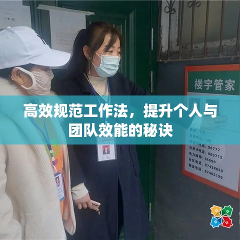 高效规范工作法，提升个人与团队效能的秘诀