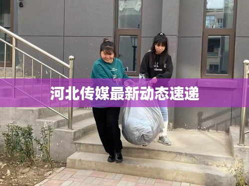 河北传媒最新动态速递