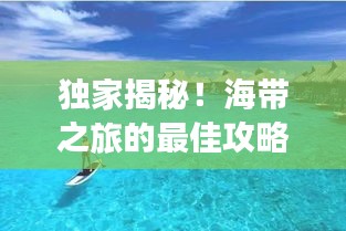 独家揭秘！海带之旅的最佳攻略，让你的旅行更加完美！
