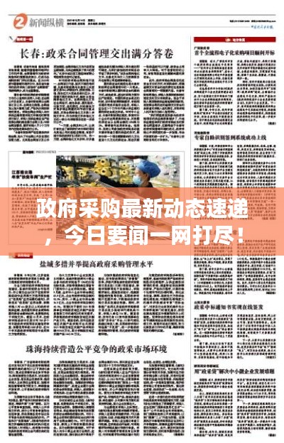 政府采购最新动态速递，今日要闻一网打尽！