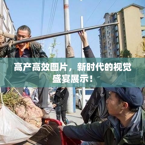 2025年6月17日 第3页