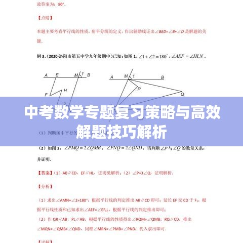 中考数学专题复习策略与高效解题技巧解析