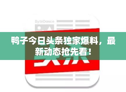 鸭子今日头条独家爆料，最新动态抢先看！