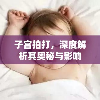子宫拍打，深度解析其奥秘与影响