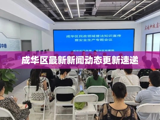 成华区最新新闻动态更新速递
